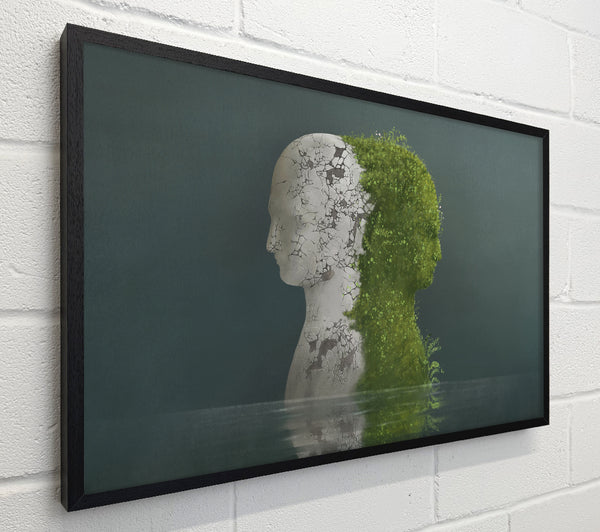 Stone And Plant Human