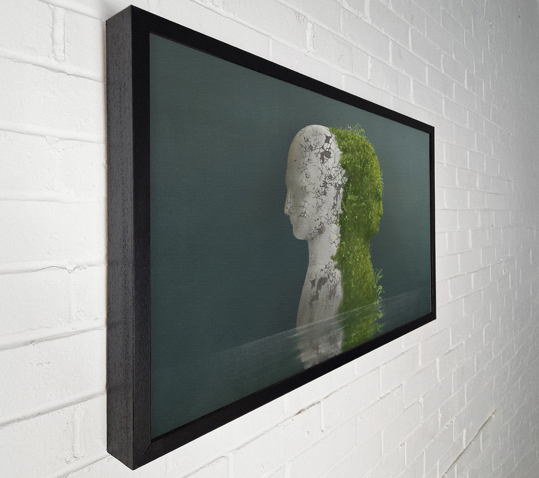  A Canvas Print of Stone And Plant Human Canvas Wall Art