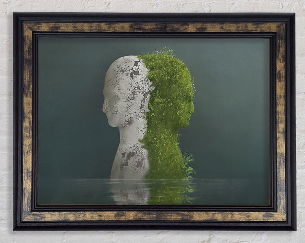 Stone And Plant Human Framed Print