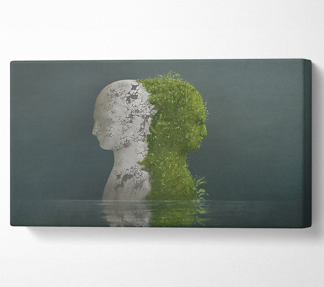  A Canvas Print of Stone And Plant Human Canvas Wall Art