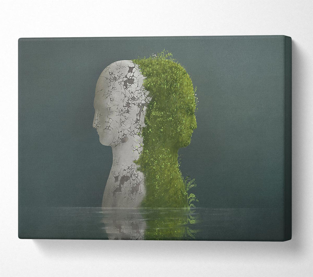  A Canvas Print of Stone And Plant Human Canvas Wall Art