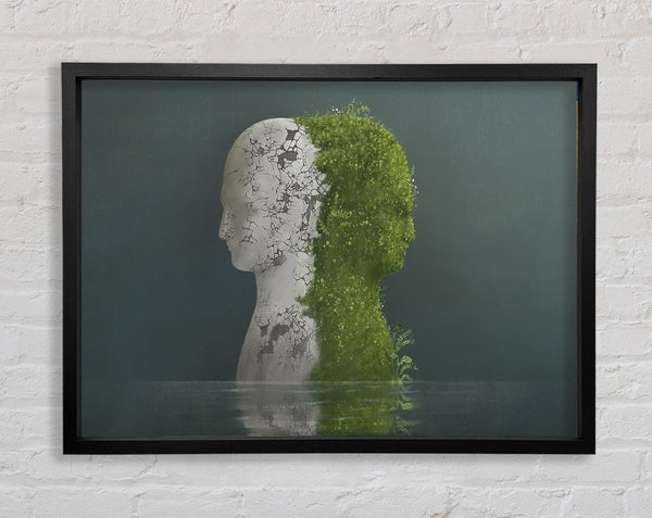 Stone And Plant Human Framed Print