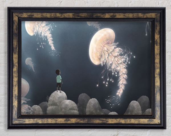 The Jellyfish Experience