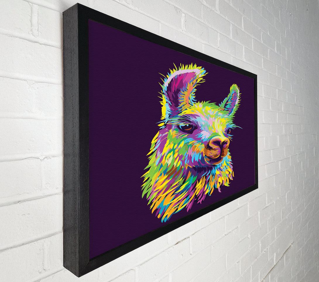  A Canvas Print of The Llama Head Canvas Art