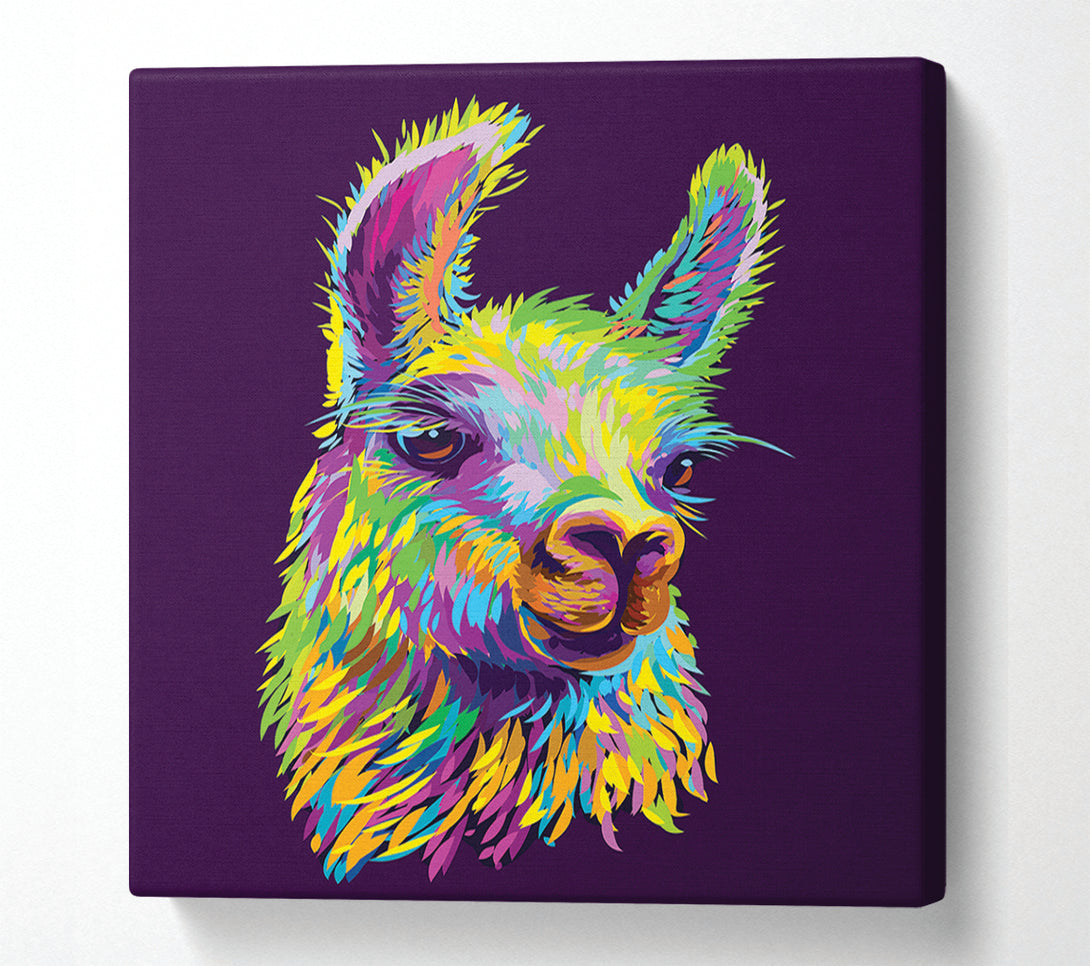  A Canvas Print of The Llama Head Canvas Art