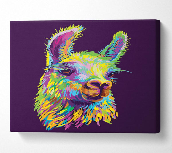 The Llama Head