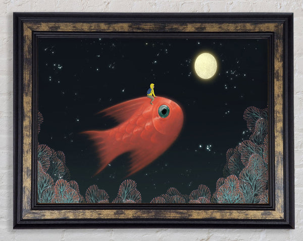 Riding The Goldfish
