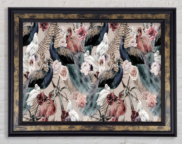 Peacock And Flower Serenity Framed Print