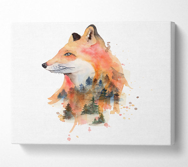 The Fox Woodland