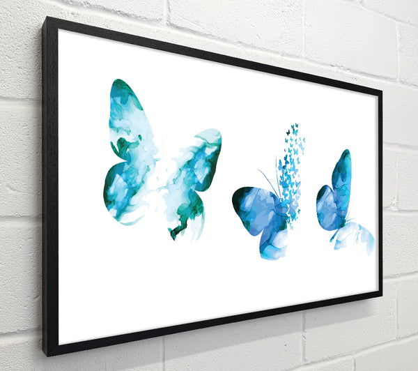 A Trio Of Blue Butterflies
