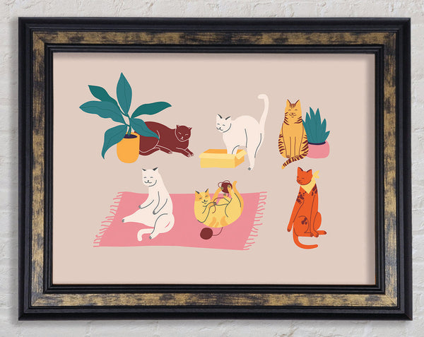 Peaceful Cat Home