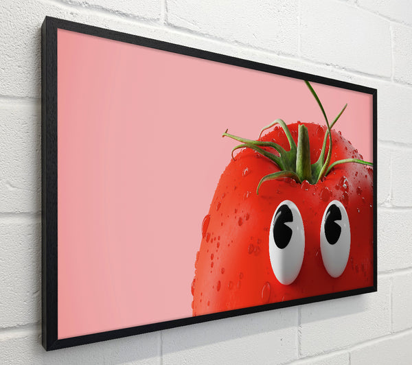 Tomato Stare