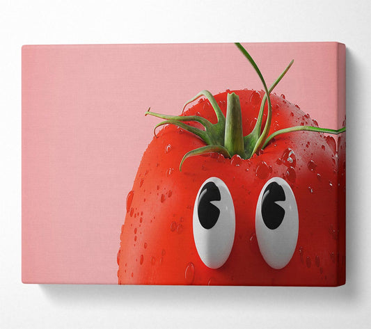 Tomato Stare Canvas Wall Art