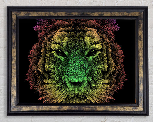 The Old English Tiger Framed Print