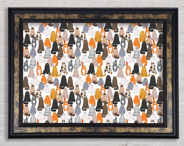 The Cat Mass