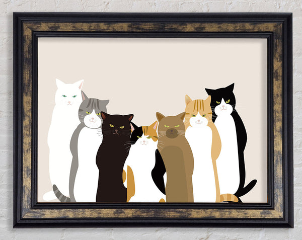 The Cat Crew