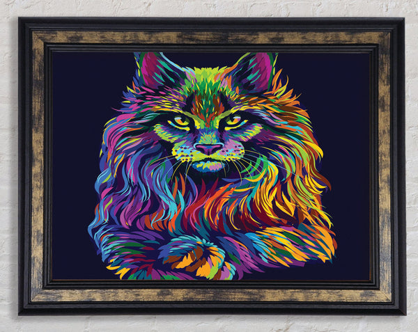 The Maine Cat