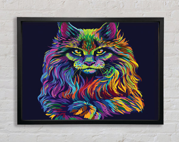 The Maine Cat