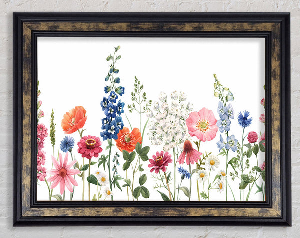Flowers In The Meadow Framed Print