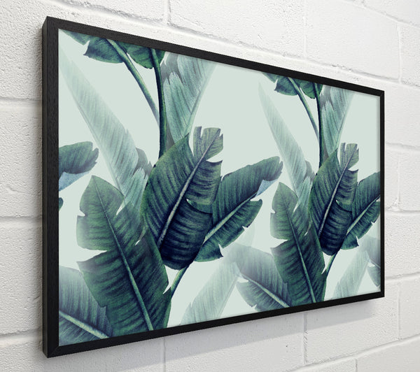 Green Banana Leaves