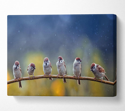 The Tits On A Branch Canvas Wall Art