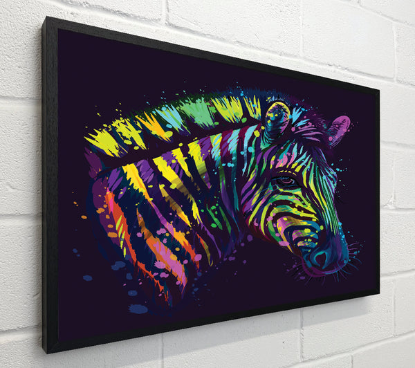 Rainbow Zebra Life