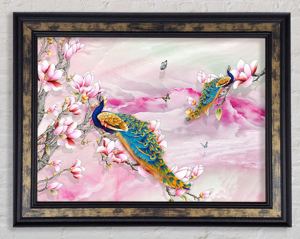 Peacock Blossom Branch Framed Print
