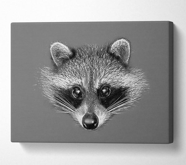  A Canvas Print of Raccoon On Grey Canvas Print
