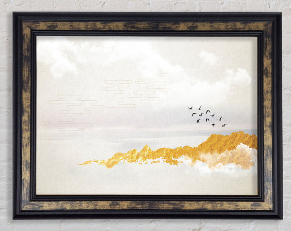 Orange Coast And Birds Framed Print