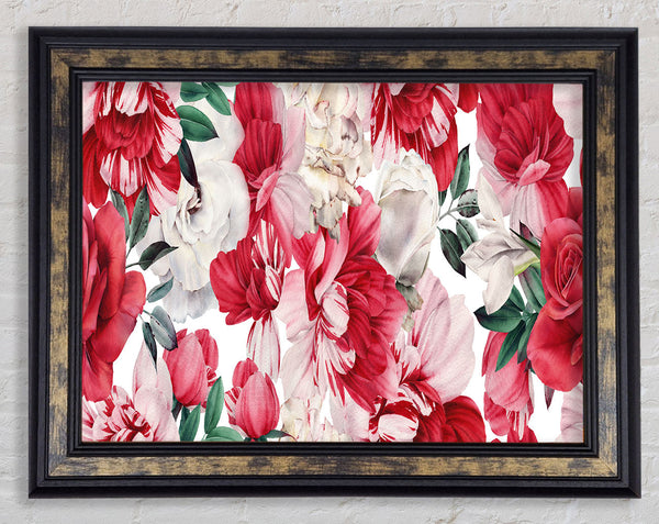 Red And Pink Petal Delight Framed Print