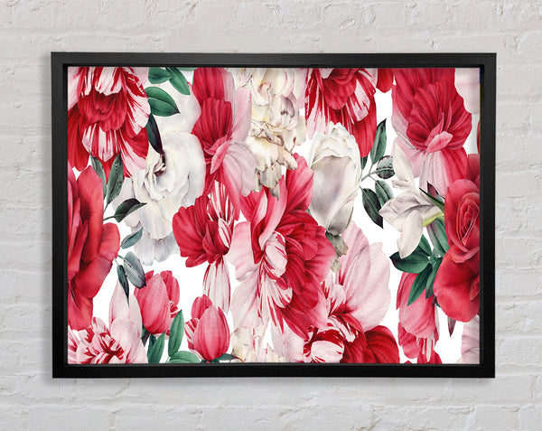 Rote und rosa Blütenblätter