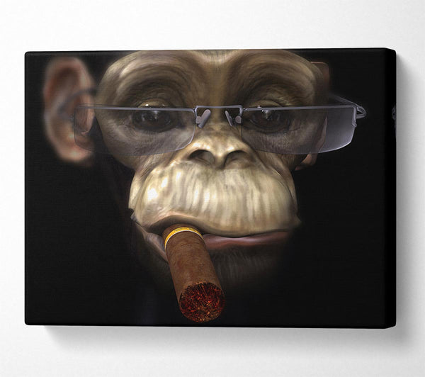 The Chimp Cigar Smoker
