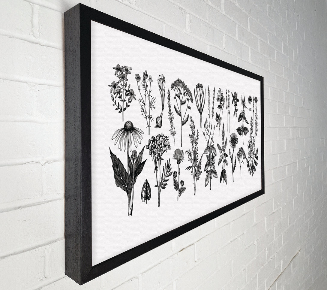  A Canvas Print of The Small Plant Collection 2 Canvas Wall Art