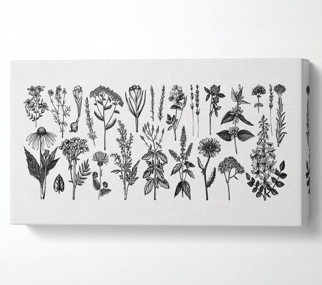  A Canvas Print of The Small Plant Collection 2 Canvas Wall Art