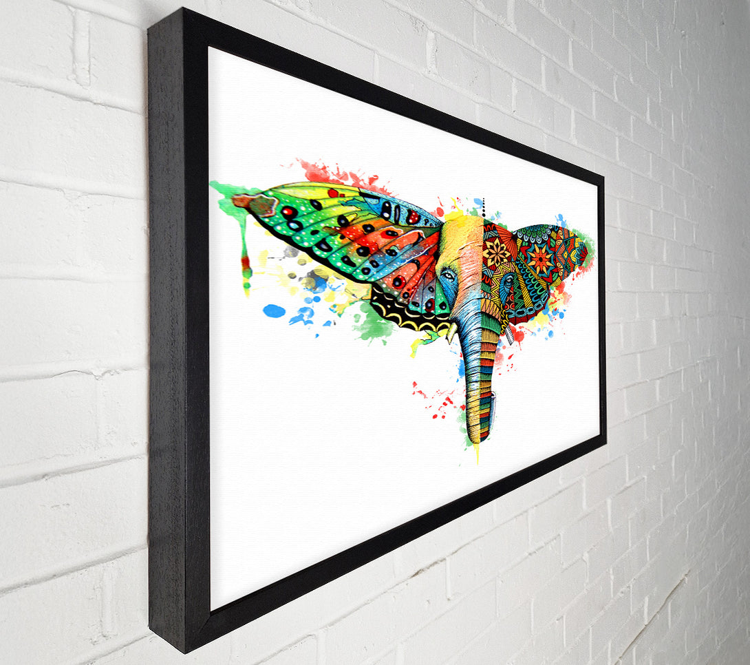  A Canvas Print of Elephant Ear Butterfly Canvas Art