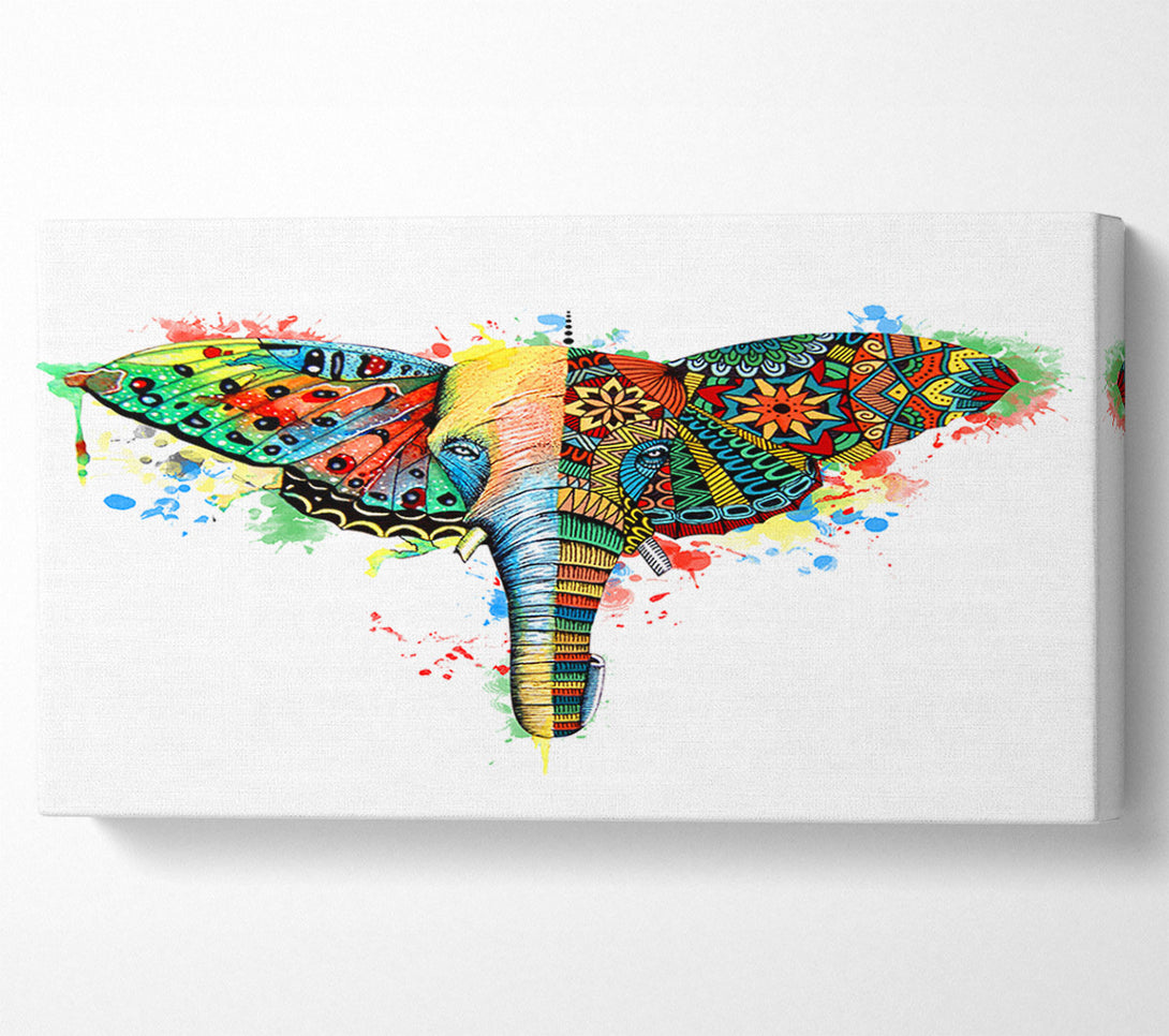 A Canvas Print of Elephant Ear Butterfly Canvas Art