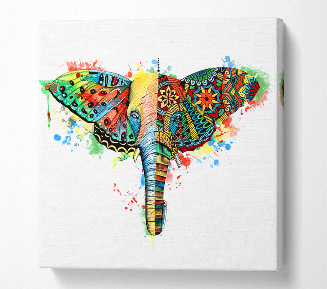  A Canvas Print of Elephant Ear Butterfly Canvas Art