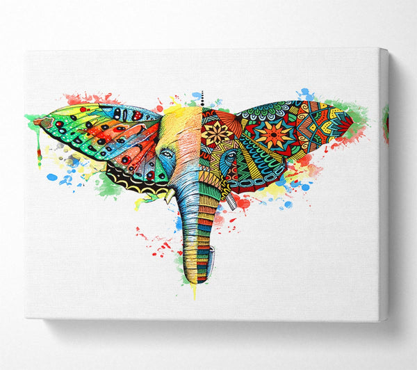  A Canvas Print of Elephant Ear Butterfly Canvas Art