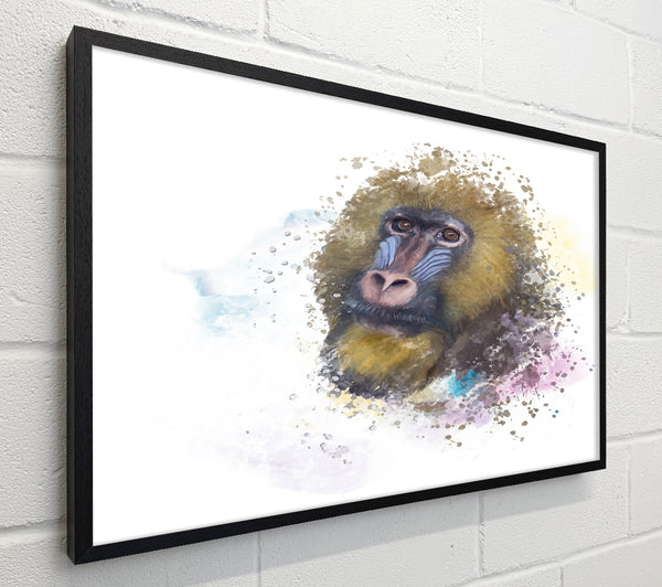 Mandrill Watercolour Splash