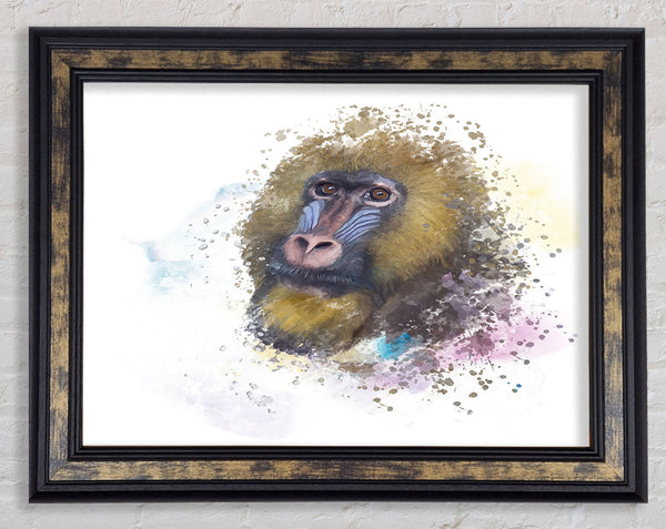 Mandrill Watercolour Splash Framed Print