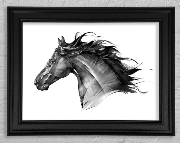 Black Horse Flow Framed Print