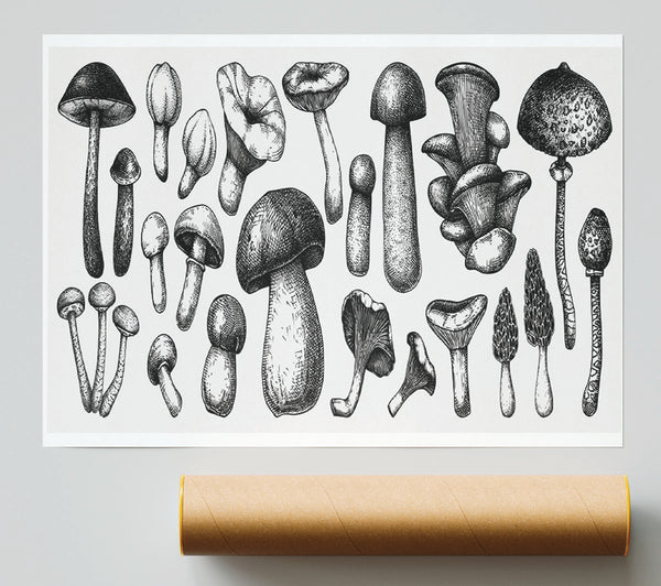 The Toadstool Collection Print