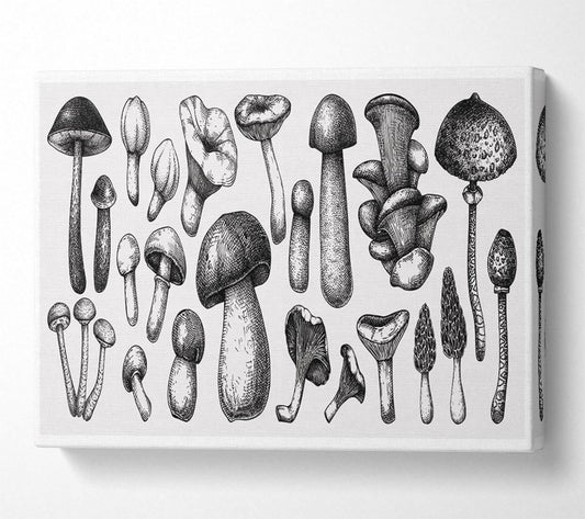 The Toadstool Collection Canvas Wall Art