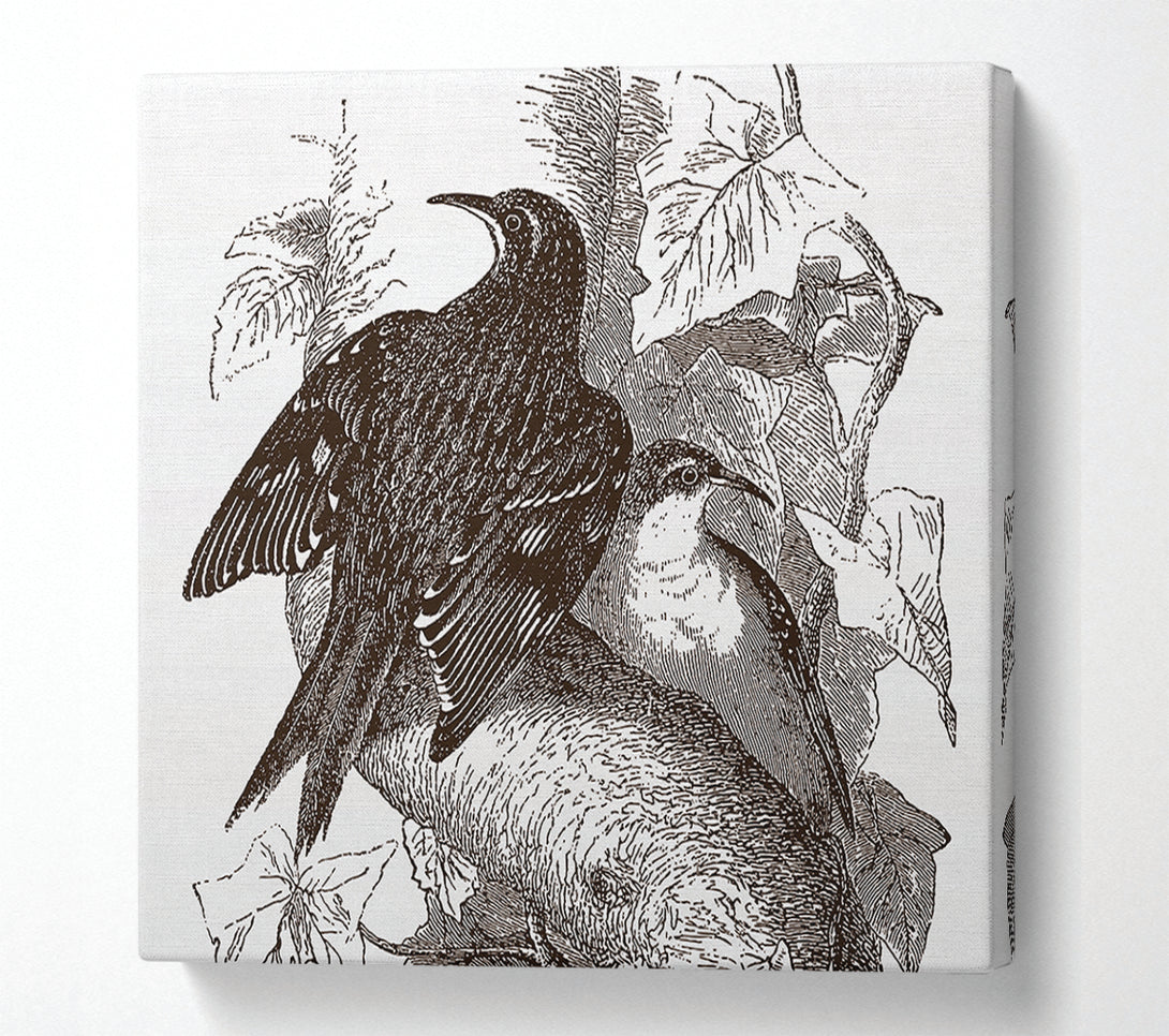  A Canvas Print of Old British Illustration Of Birds Canvas Art