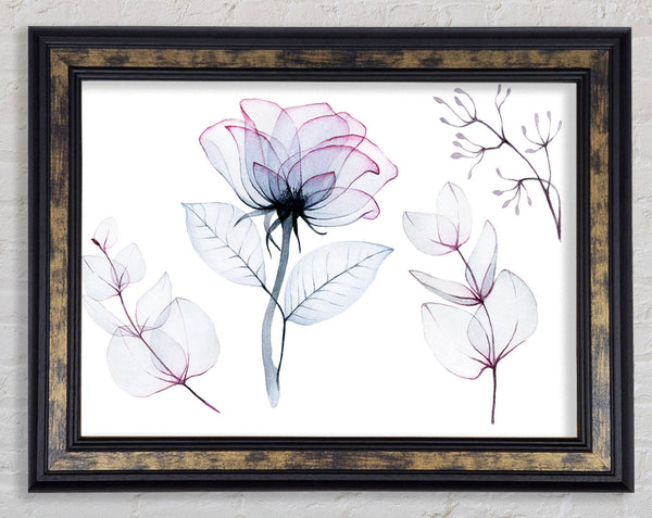 Transparency Flowers Framed Print