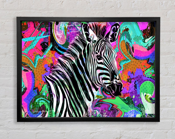 Das urbane Zebra