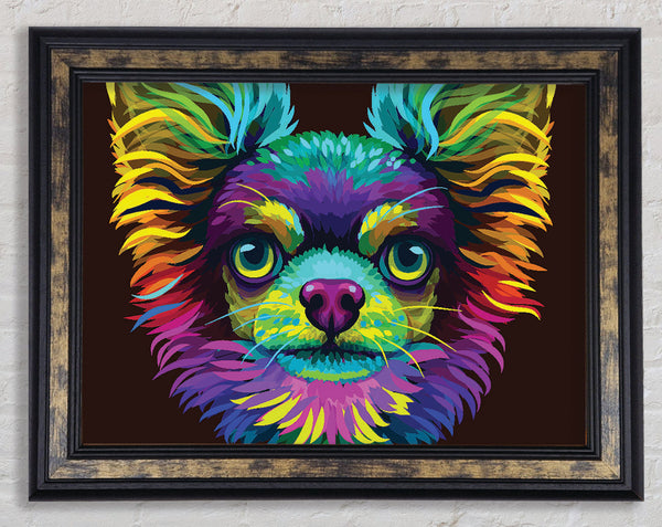 Chihuahua Stare Head Framed Print