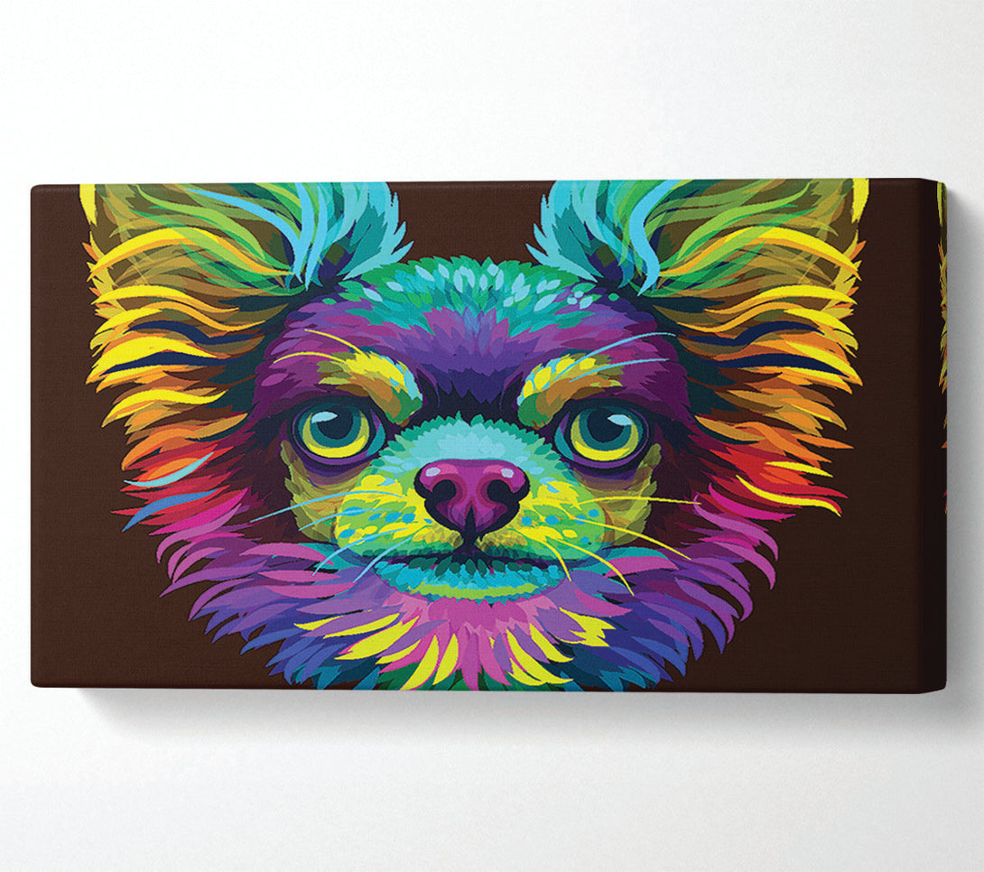  A Canvas Print of Chihuahua Stare Head Canvas Art