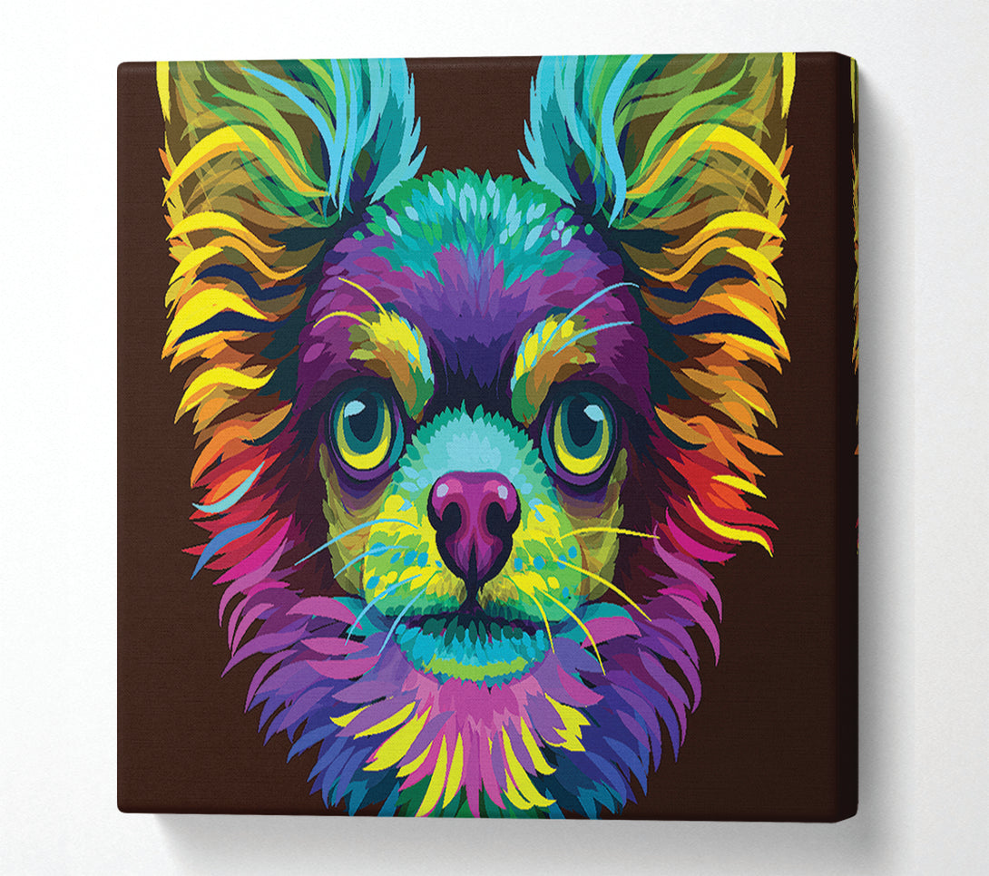  A Canvas Print of Chihuahua Stare Head Canvas Art