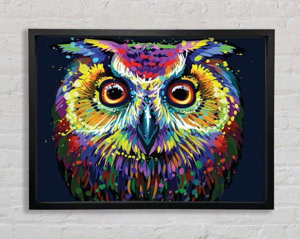 The Colourful Vivid Owl Framed Print
